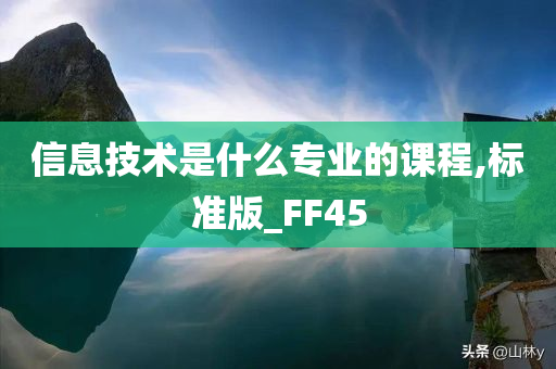 信息技术是什么专业的课程,标准版_FF45