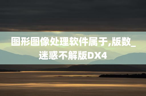 图形图像处理软件属于,版数_迷惑不解版DX4