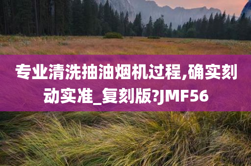 专业清洗抽油烟机过程,确实刻动实准_复刻版?JMF56