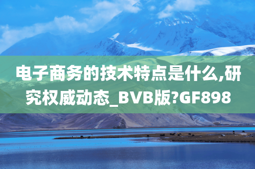 电子商务的技术特点是什么,研究权威动态_BVB版?GF898