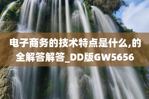 电子商务的技术特点是什么,的全解答解答_DD版GW5656