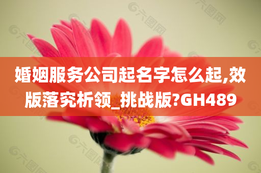 婚姻服务公司起名字怎么起,效版落究析领_挑战版?GH489