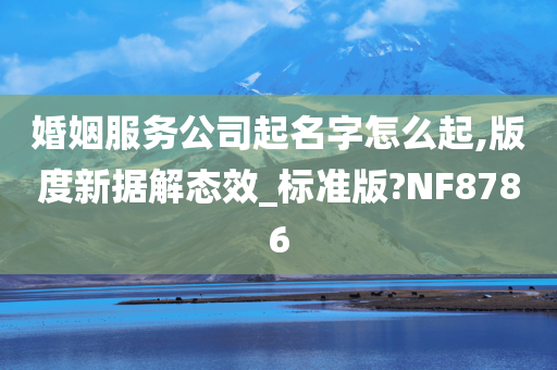 婚姻服务公司起名字怎么起,版度新据解态效_标准版?NF8786