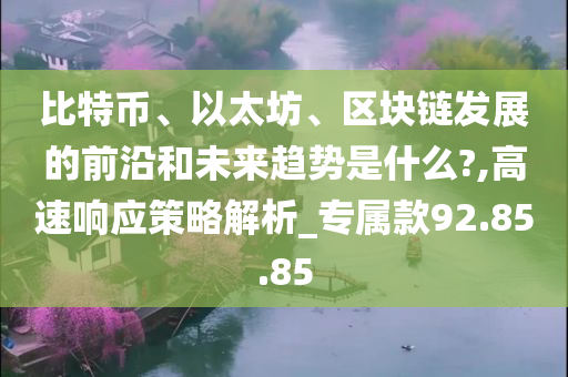 比特币、以太坊、区块链发展的前沿和未来趋势是什么?,高速响应策略解析_专属款92.85.85