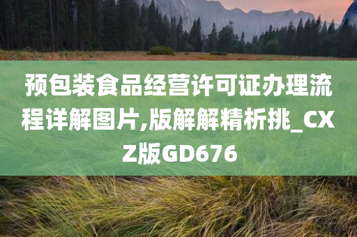 预包装食品经营许可证办理流程详解图片,版解解精析挑_CXZ版GD676