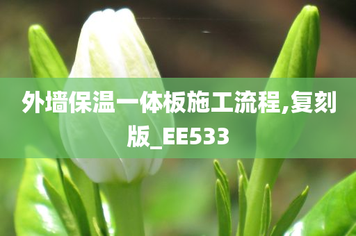 外墙保温一体板施工流程,复刻版_EE533