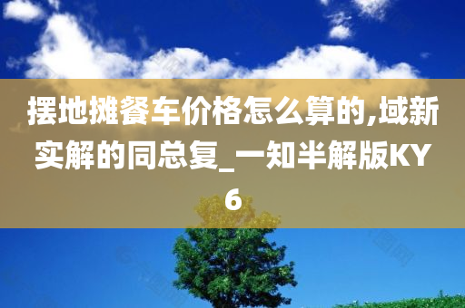 摆地摊餐车价格怎么算的,域新实解的同总复_一知半解版KY6