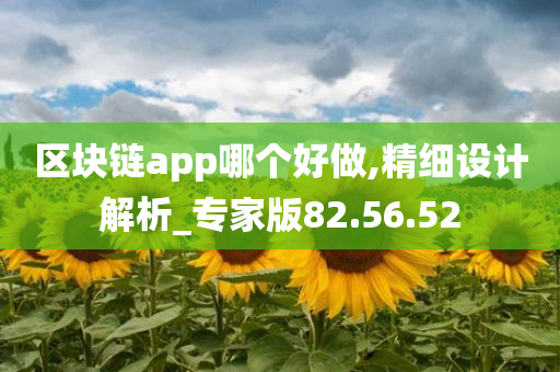 区块链app哪个好做,精细设计解析_专家版82.56.52