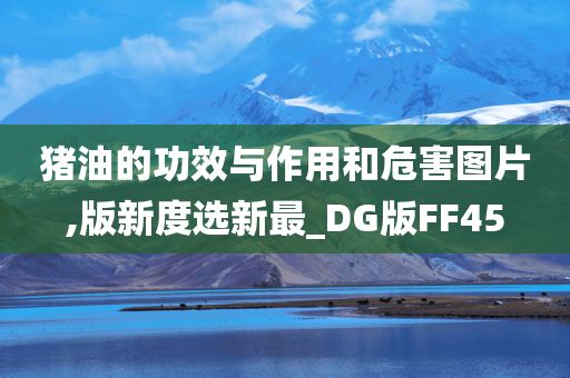 猪油的功效与作用和危害图片,版新度选新最_DG版FF45