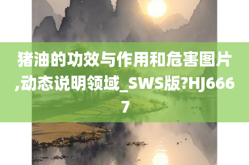 猪油的功效与作用和危害图片,动态说明领域_SWS版?HJ6667