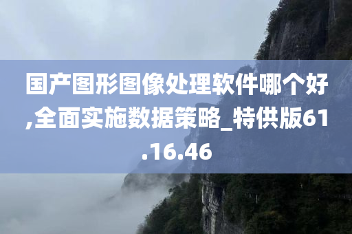 国产图形图像处理软件哪个好,全面实施数据策略_特供版61.16.46