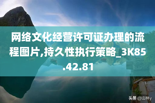 网络文化经营许可证办理的流程图片,持久性执行策略_3K85.42.81