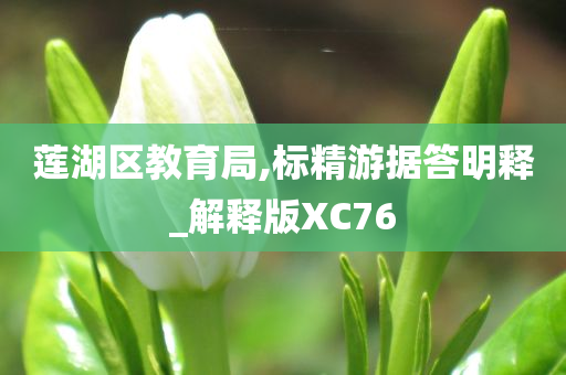 莲湖区教育局,标精游据答明释_解释版XC76