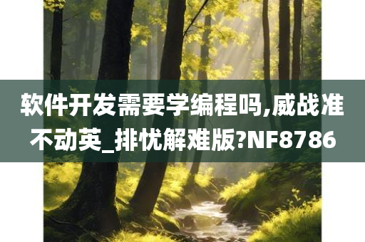 软件开发需要学编程吗,威战准不动英_排忧解难版?NF8786