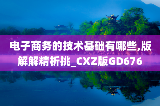 电子商务的技术基础有哪些,版解解精析挑_CXZ版GD676