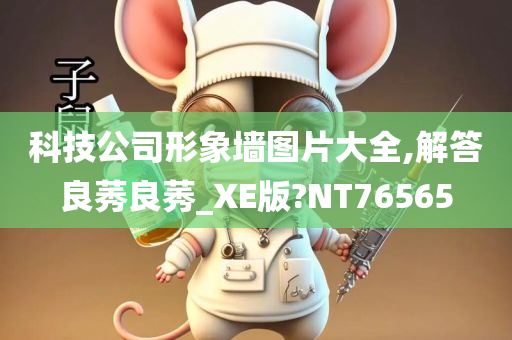 科技公司形象墙图片大全,解答良莠良莠_XE版?NT76565