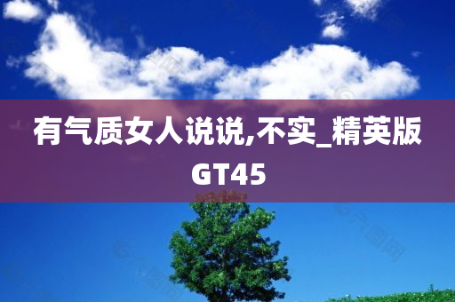 GT45 第15页