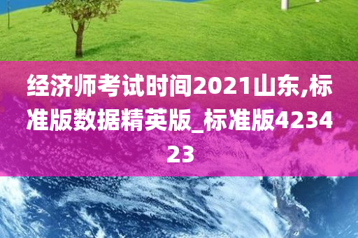 经济师考试时间2021山东,标准版数据精英版_标准版423423