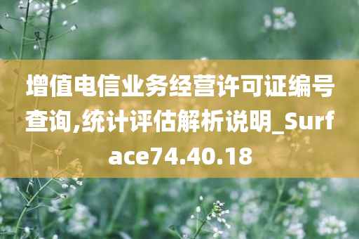 增值电信业务经营许可证编号查询,统计评估解析说明_Surface74.40.18