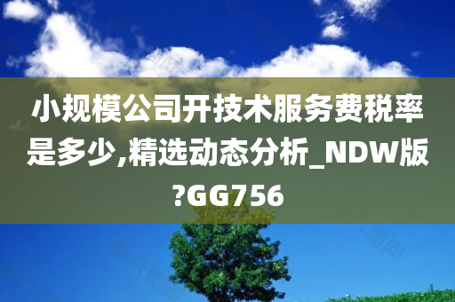 小规模公司开技术服务费税率是多少,精选动态分析_NDW版?GG756