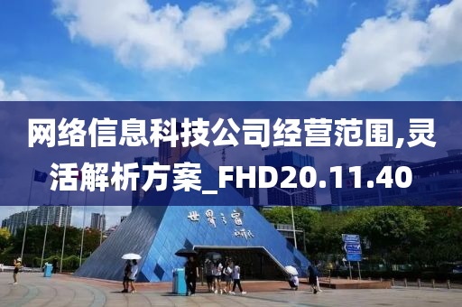 网络信息科技公司经营范围,灵活解析方案_FHD20.11.40