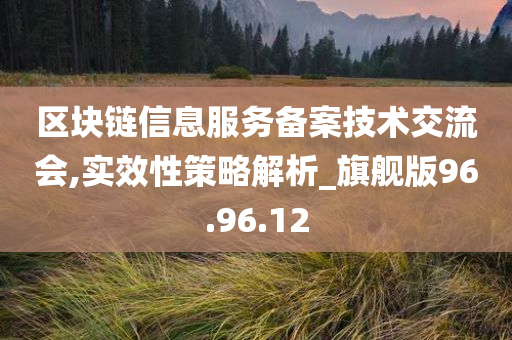 区块链信息服务备案技术交流会,实效性策略解析_旗舰版96.96.12