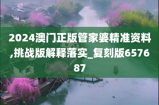 2024澳门正版管家婆精准资料,挑战版解释落实_复刻版657687