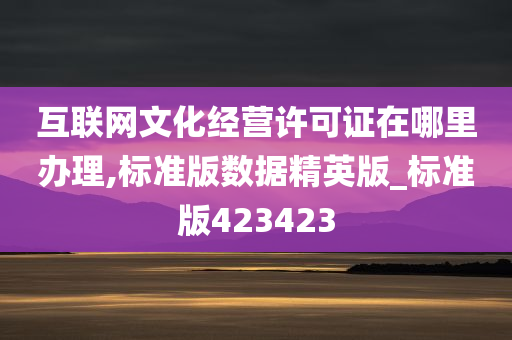 互联网文化经营许可证在哪里办理,标准版数据精英版_标准版423423