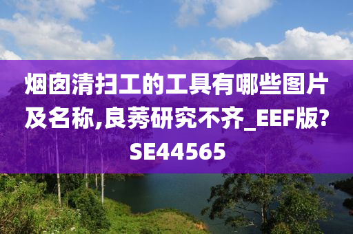 烟囱清扫工的工具有哪些图片及名称,良莠研究不齐_EEF版?SE44565