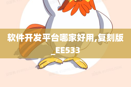 软件开发平台哪家好用,复刻版_EE533