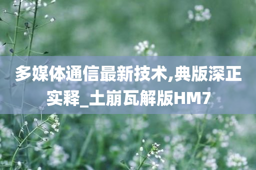 多媒体通信最新技术,典版深正实释_土崩瓦解版HM7