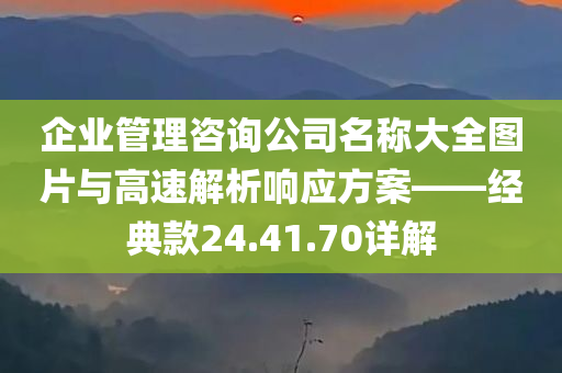 企业管理咨询公司名称大全图片与高速解析响应方案——经典款24.41.70详解