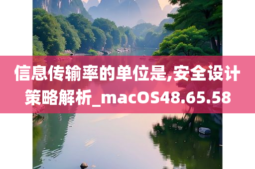 信息传输率的单位是,安全设计策略解析_macOS48.65.58