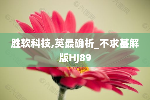 胜软科技,英最确析_不求甚解版HJ89