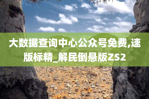 大数据查询中心公众号免费,速版标精_解民倒悬版ZS2