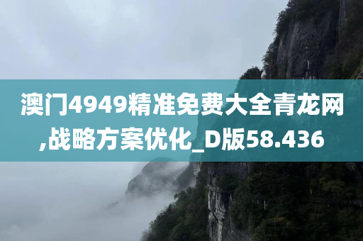 澳门4949精准免费大全青龙网,战略方案优化_D版58.436