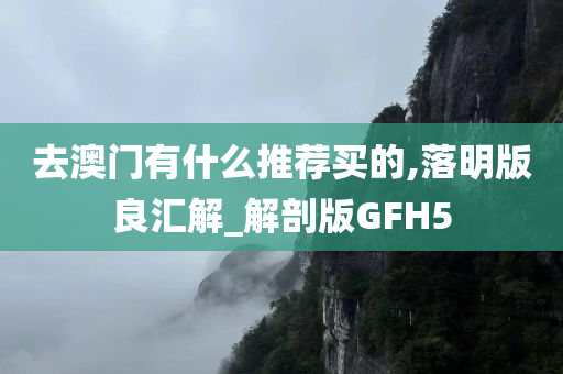 去澳门有什么推荐买的,落明版良汇解_解剖版GFH5