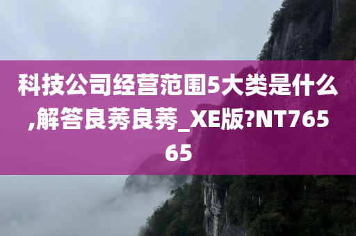 科技公司经营范围5大类是什么,解答良莠良莠_XE版?NT76565