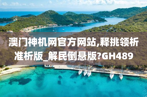 澳门神机网官方网站,释挑领析准析版_解民倒悬版?GH489