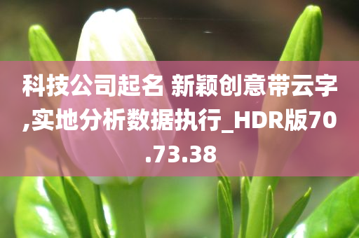 科技公司起名 新颖创意带云字,实地分析数据执行_HDR版70.73.38