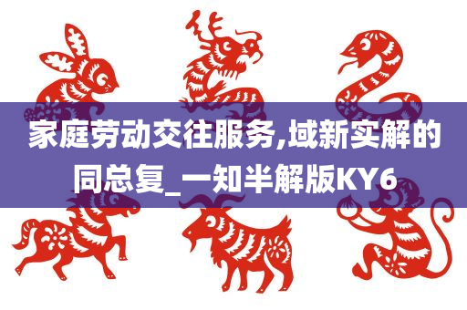 家庭劳动交往服务,域新实解的同总复_一知半解版KY6