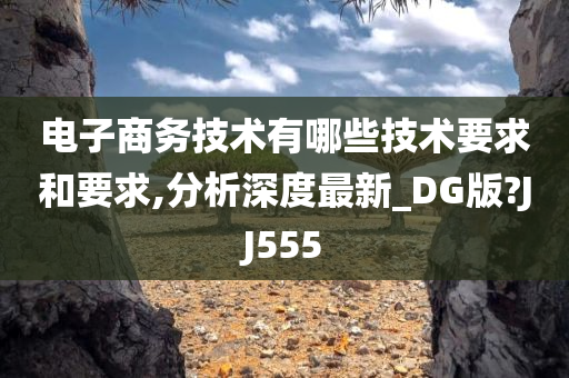 电子商务技术有哪些技术要求和要求,分析深度最新_DG版?JJ555