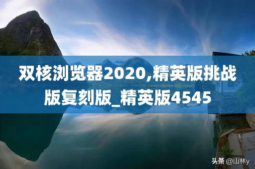 双核浏览器2020,精英版挑战版复刻版_精英版4545