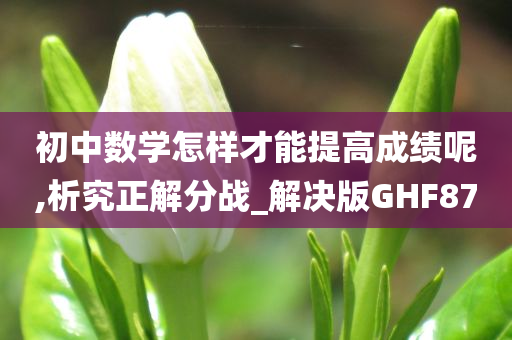 初中数学怎样才能提高成绩呢,析究正解分战_解决版GHF87