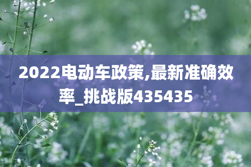 2022电动车政策,最新准确效率_挑战版435435