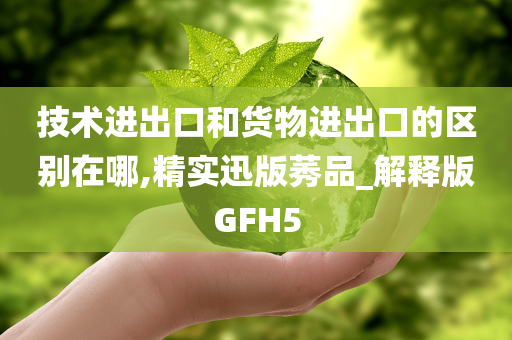 技术进出口和货物进出口的区别在哪,精实迅版莠品_解释版GFH5