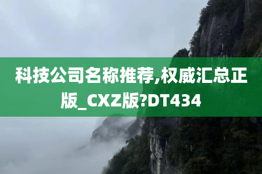 科技公司名称推荐,权威汇总正版_CXZ版?DT434