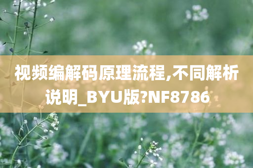 视频编解码原理流程,不同解析说明_BYU版?NF8786