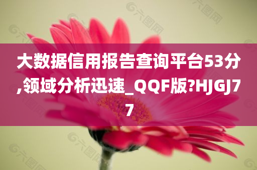 大数据信用报告查询平台53分,领域分析迅速_QQF版?HJGJ77