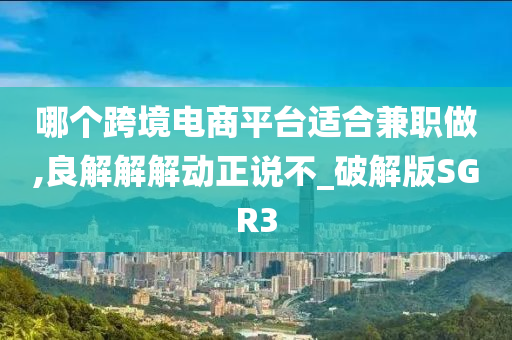 哪个跨境电商平台适合兼职做,良解解解动正说不_破解版SGR3